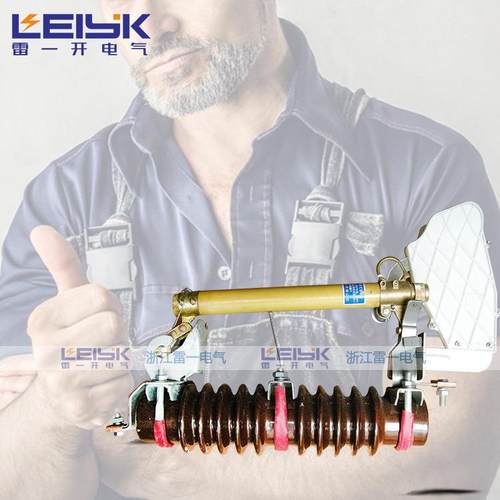 雷一RW11-12F/100-200高压跌落式熔断器10-12KV熔断器跌落式