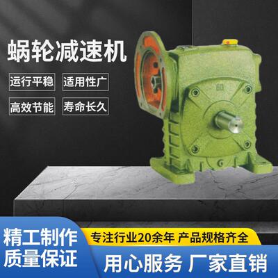 WPDA WPDX WPDS WPDO40 50 60 70 80 100 蜗轮蜗杆减速机小型电机