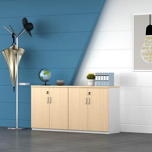 办室文件地柜木质矮柜储物柜带锁资料柜柜隔断杂物收纳Z-628长公