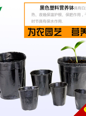 营养杯育苗杯营养钵育苗盆塑料加厚一次性营养袋育苗袋花盆大种植
