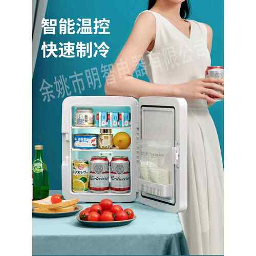 新款直销12L镜面美妆小冰箱迷你 LED 微型宿舍母乳美化妆镜冷藏车