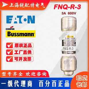 延时保险丝 600V 巴斯曼BUSSMANN熔断器 FNQ 10X38