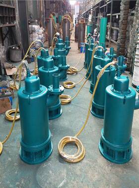 BQW60-36-15/N防爆潜水泵排污泵煤矿隔爆潜水泵现货供应