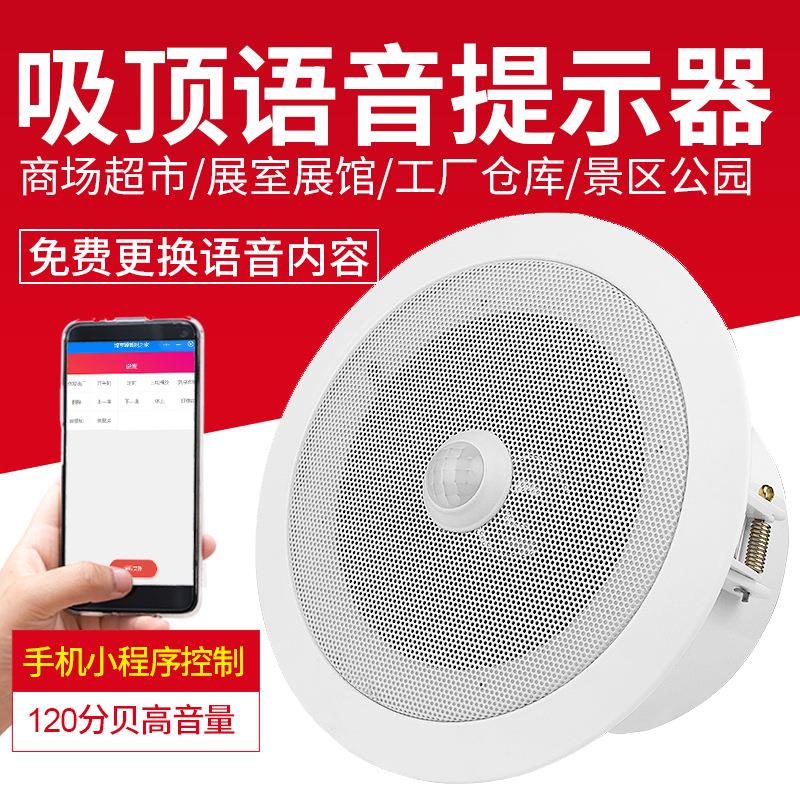 红外人体感应语音提示器防盗报警器商店地铁火车店门吸顶大喇叭