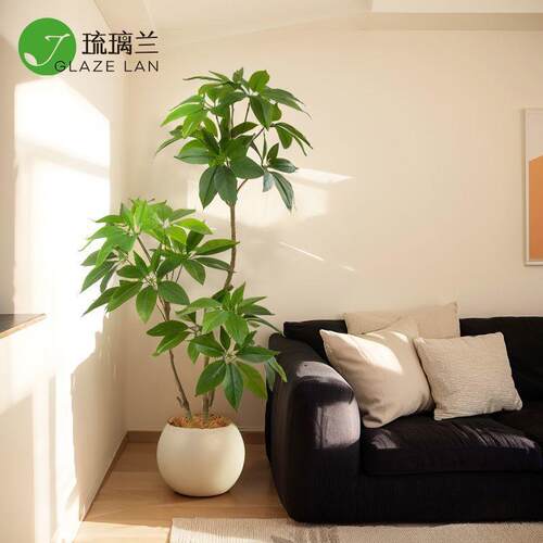 绿植大叶伞轻奢室内客厅电视柜旁边装饰北欧风假植物盆栽