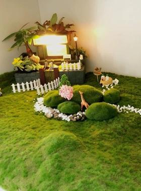 仿真青苔藓草皮微景观绿色造景场景橱窗展示盆景假苔藓粉草坪植物