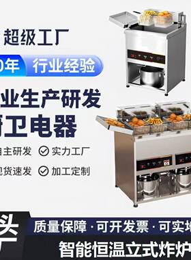 商用电热大容量立式油炸锅炸鸡排机器双缸恒温油条机炸串机电炸炉