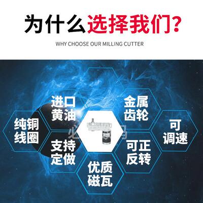 ZGB114FEE 12V 24V 输出軸偏心 直流减速电机马达