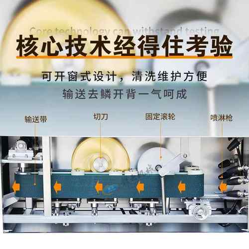 云高水去鱼鳞开赣背体机一大型鱼类深加工设备压全套GY-SYJ-0杀鱼