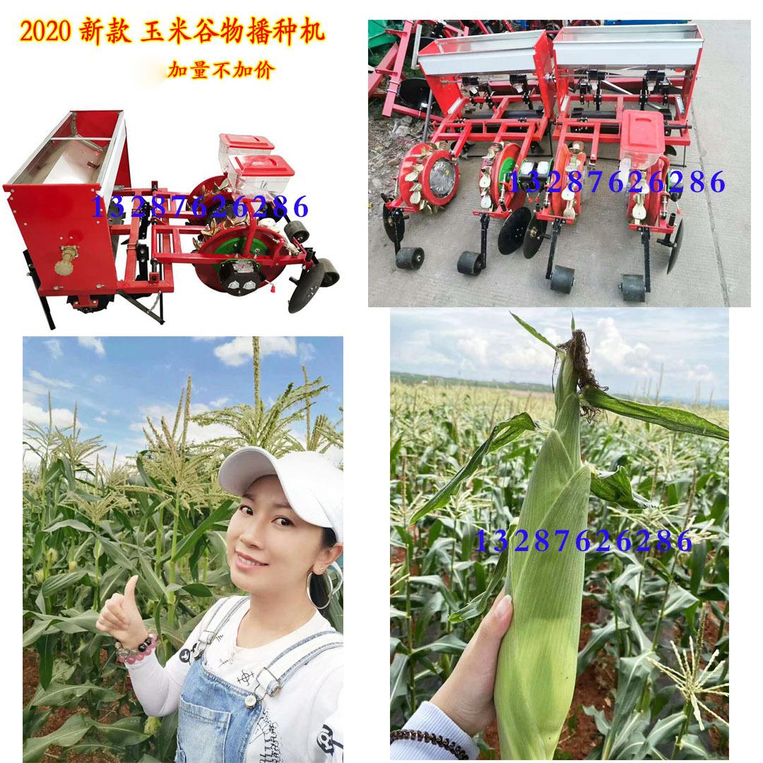 青毛豆垄双行精播机安徽3行铺膜滴灌施播种机油葵播种机