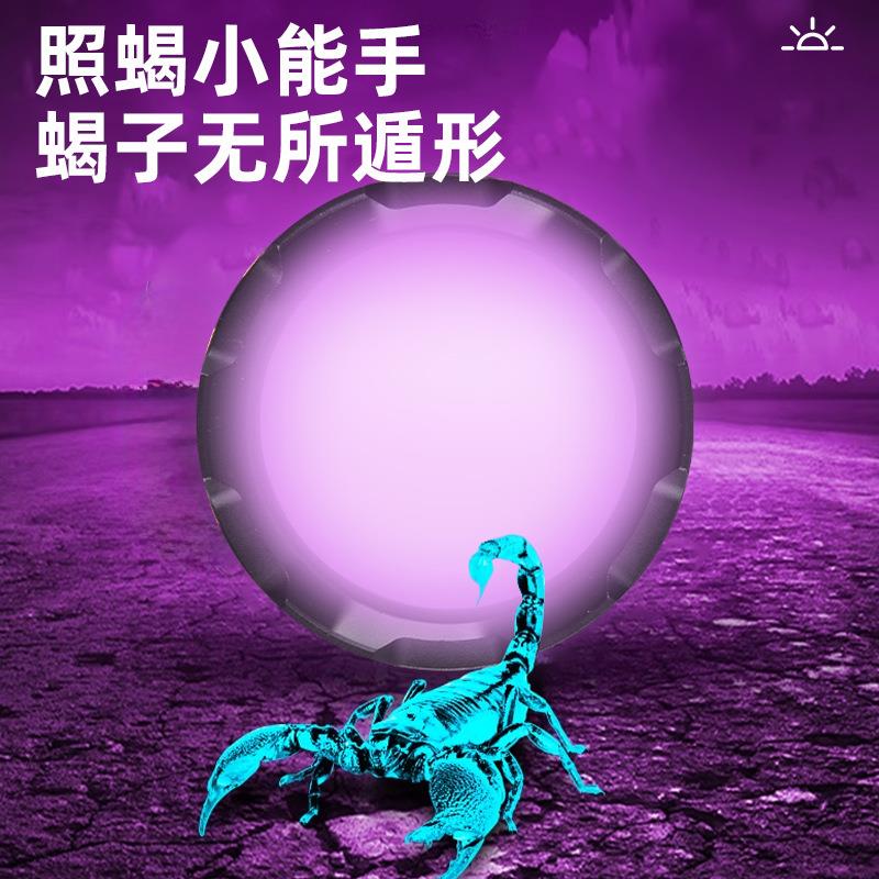 子强灯2025新款充电超890-X亮光长续航手照蝎蝎子专用灯白紫双光