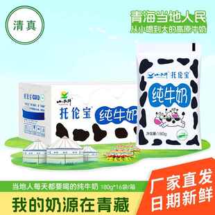清真食品小西牛青海特产托伦宝纯牛奶袋装早餐整箱180g*16袋/箱