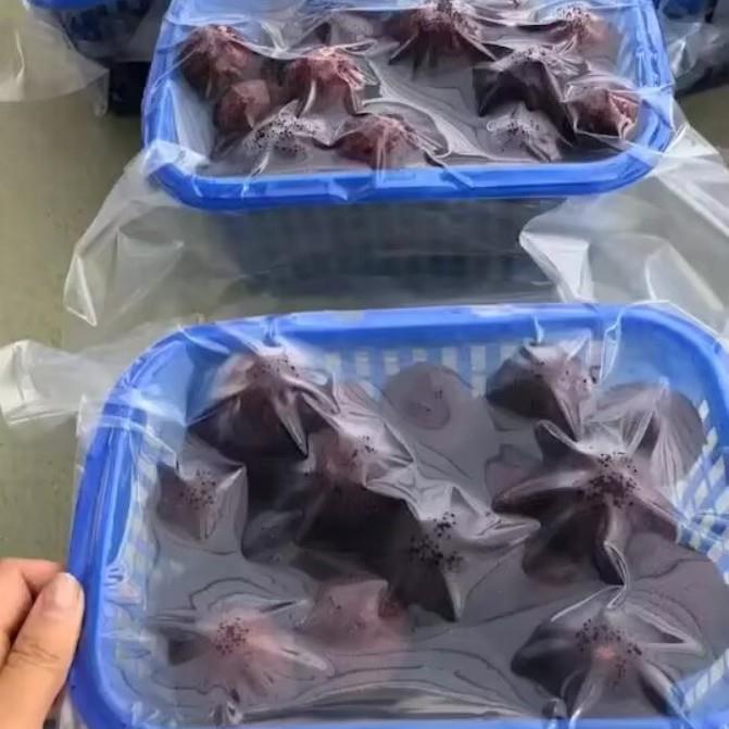 杨梅真空CHN空包装袋单面纹真空袋路大尺寸杨梅输运包装抽真保鲜