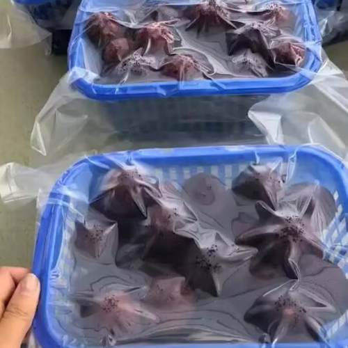 杨梅真空包装袋单纹路真空袋大尺寸杨梅面输SGM运包装抽真空保鲜