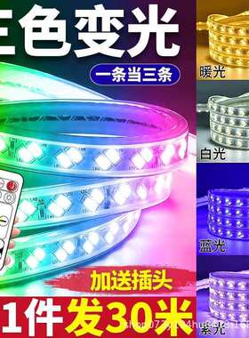 5730三色变光柔性室内户外防雨高压超亮双排七彩全铜遥控led灯带