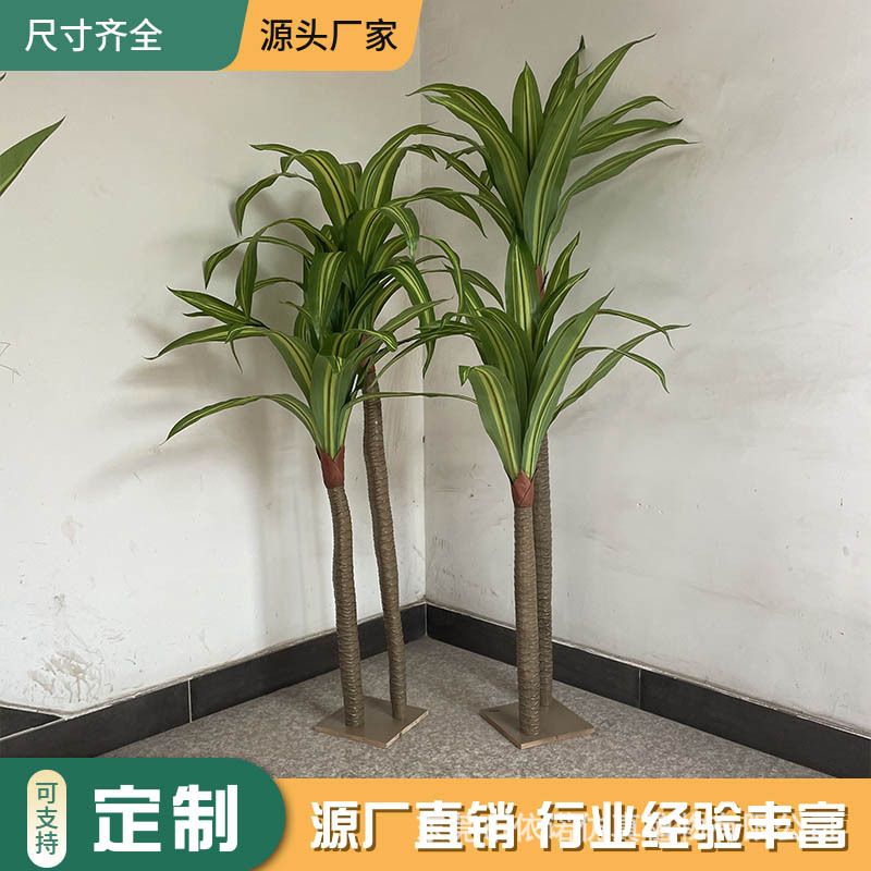 仿真巴西木 厂家直销仿真巴西铁 室内装饰造景盆栽仿真绿植荷兰铁