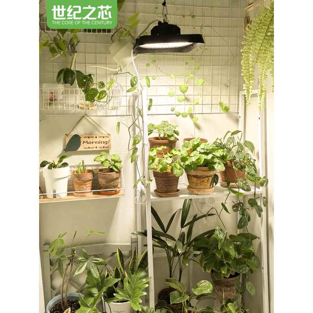 植物补光全光谱模拟日光蔬菜花苗多肉绿色植物生长光室内温室