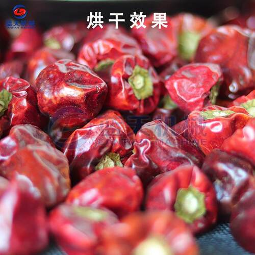 贵州甜椒烘干机小型商用 灯笼椒柿子椒烘干箱 移动河北菜椒烘干机