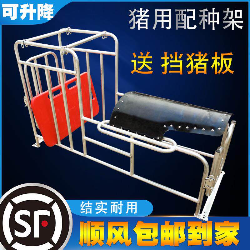 猪用配种架子栏升降配种架猪用采精支架小母猪配种架受精器配种器