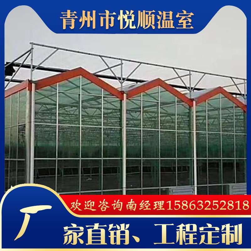 【温室大棚】文洛型连栋智能玻璃温室 花卉农业养殖温室大棚工程