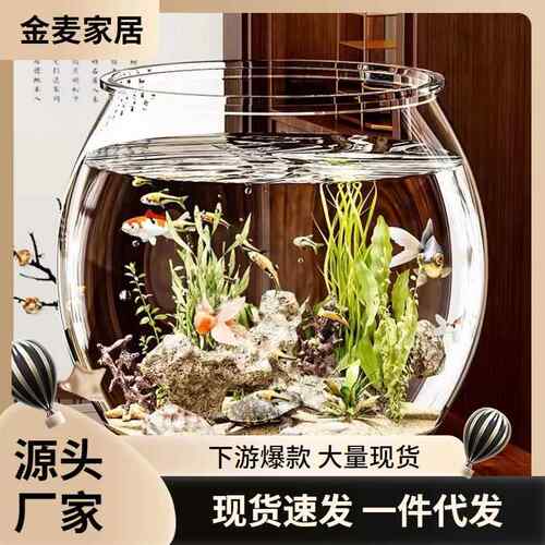 透明塑料小鱼缸水族箱微景观造景办公室观赏乌龟缸桌面生态缸