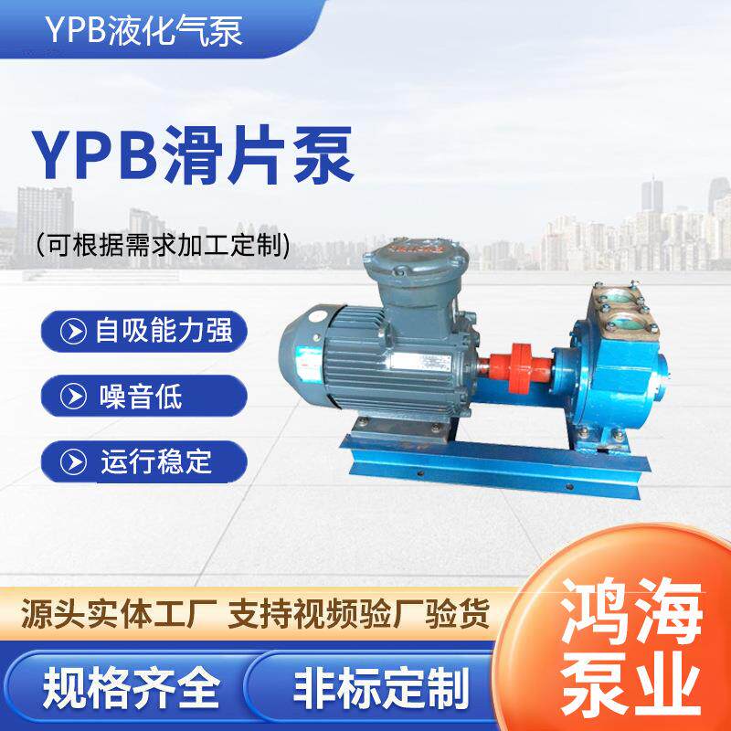 YPB液化气泵灌装叶片泵抽油泵柴油汽油润滑油输送泵防爆立式滑片 - 实物图
