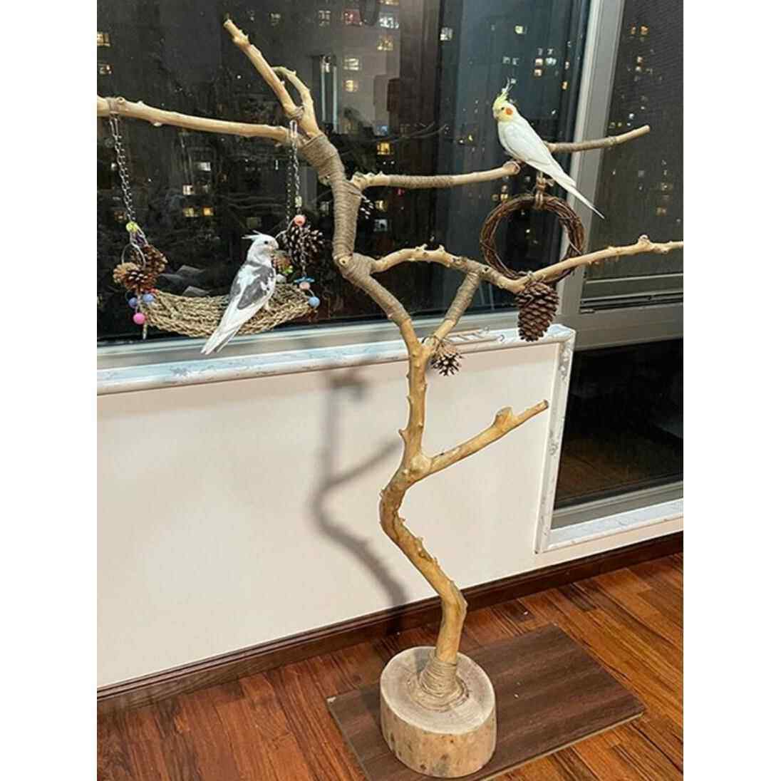 采购产品干树枝，原木，干鸟架，壁挂式衣架，艺术干树枝，枯木树