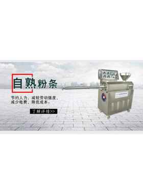 漏粉机免洗免冻地瓜红薯粉条粉丝机电加热制作芋头扁粉机细粉机