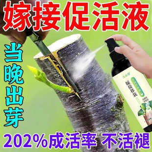 AIKEBO果树嫁接愈合剂促活液树木伤口移植修复嫁接伤口盆栽花卉切