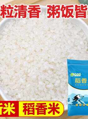 新疆包邮优质原粮稻香米当季新米米厂直发10斤软糯可口颗颗精选粒