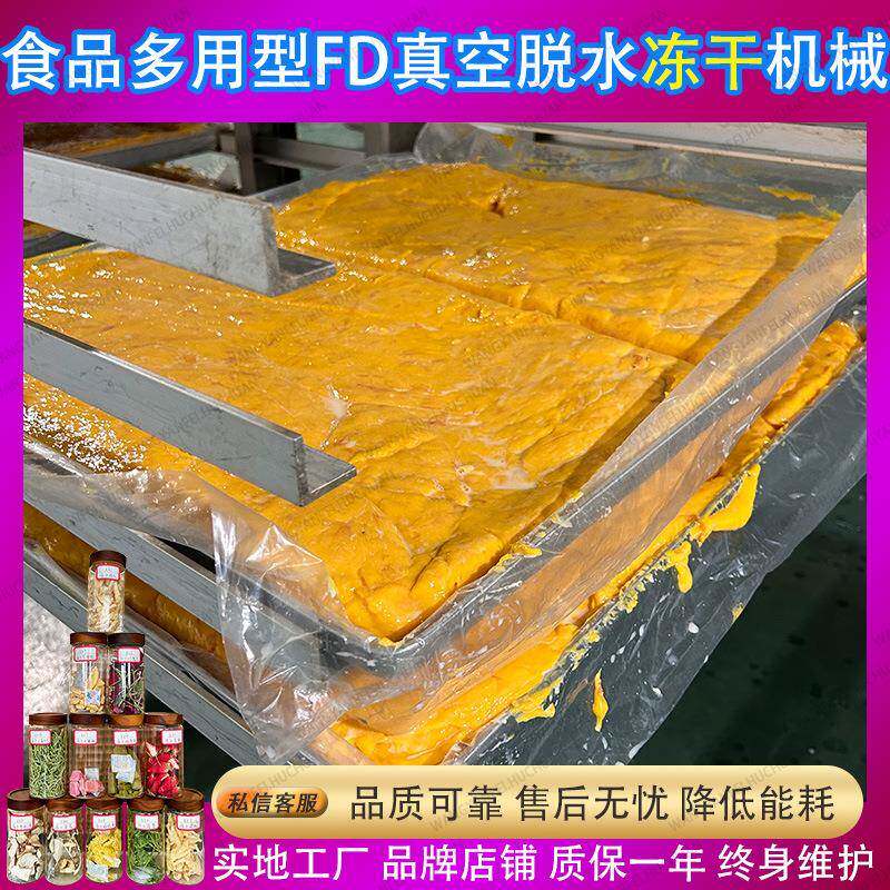 多功能宠物冻干机 商用真空冷冻干燥机 猫狗零食加工设备厂家店铺