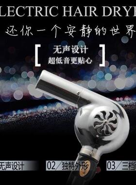 毛娘假发无声静音定型电吹风机理发店发廊美发专业老式吹塑膜风筒