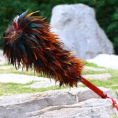 红典加厚木柄鸡毛掸子家居清洁用品不脱落禅车除尘毯刷