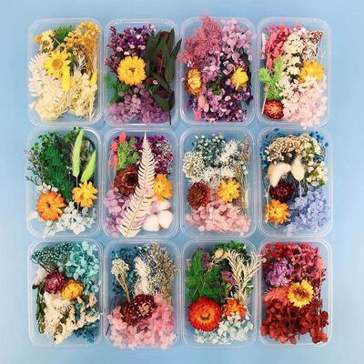 200pc Real Dried Flowers For DIY Art Craft Epoxy Resin Candl