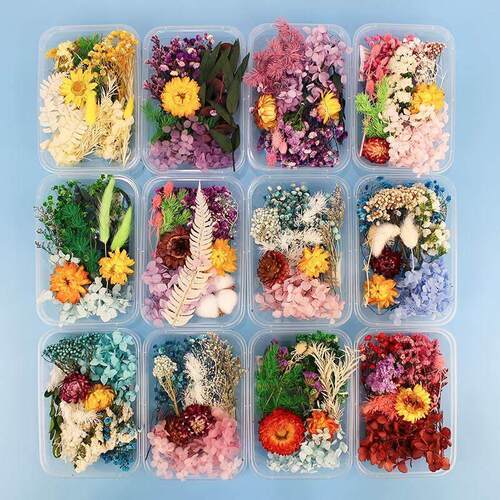 200pc Real Dried Flowers For DIY Art Craft Epoxy Resin Candl