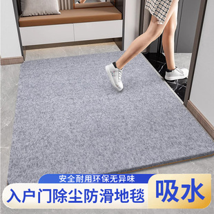 地毯门垫进门乔迁吸水防滑耐脏加厚可擦洗可裁剪门外家用轻奢定制