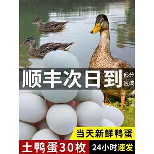 鸭蛋新鲜生鸭蛋土鸭蛋农家散养非海鸭蛋绿壳青皮鸭蛋30枚整箱