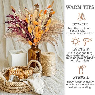 Natural Plant Dried Pampas Grass Bouquet Boho Reed Dried Flo