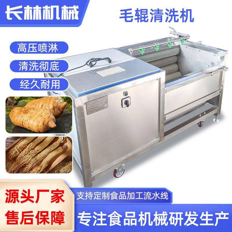 商用不锈钢中草毛刷清洗机人参清洗设备土豆马铃薯毛辊去皮机