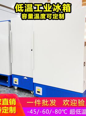 家直销境零下冰WJ-BX-2086度小型产品耐低厂温性能测试环试验箱超