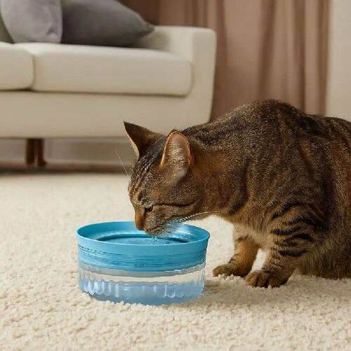 Large Capacity Pet Water Bowl Anti Splash Detachable Dog