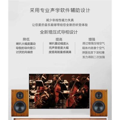 发烧书架音箱6.5寸低音震撼中音圆润密度高高音清澈见底难得玩物