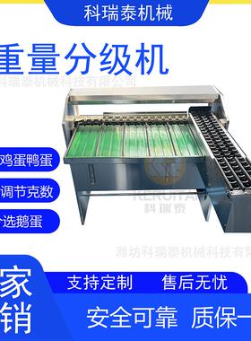 鸡蛋分级机重量分选机一小时5400枚分选精准