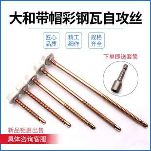 5ZW尼龙头钻尾螺丝外六角燕尾钉防水塑料帽带帽彩钢瓦自攻丝