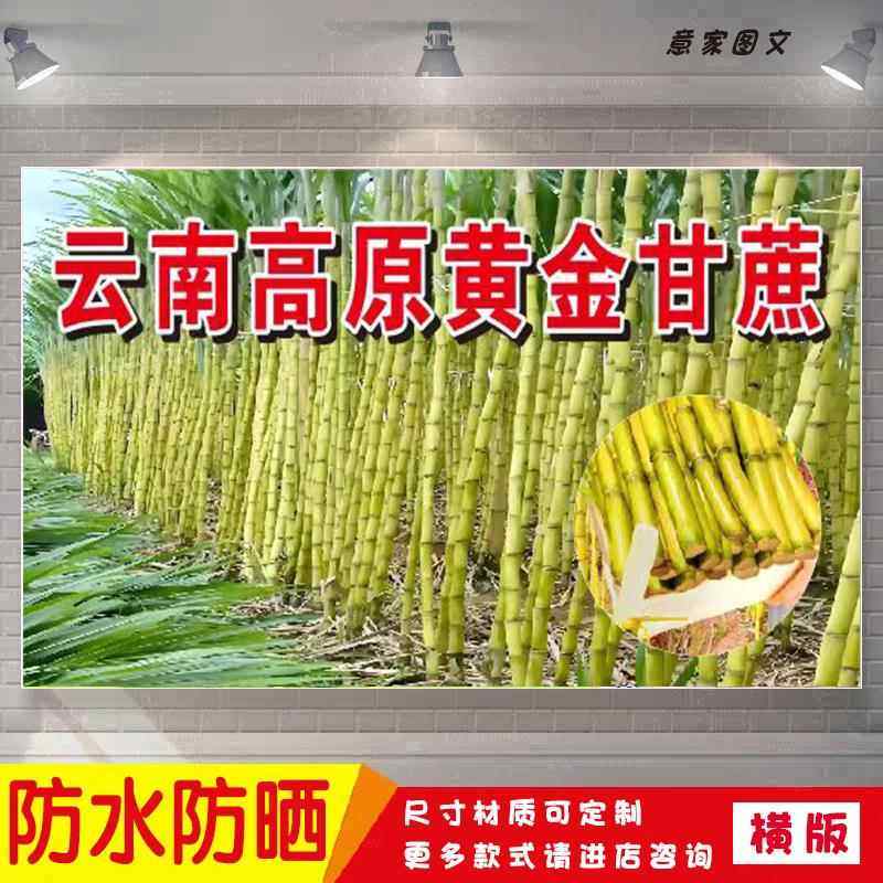 黄金甘蔗宣传海报背胶贴纸夜市摆摊广告招牌布墙画防水防晒喷绘布,个性定制/设计服务/DIY,写真/海报印制,淘宝优惠券,粉丝福利购,淘宝优惠卷