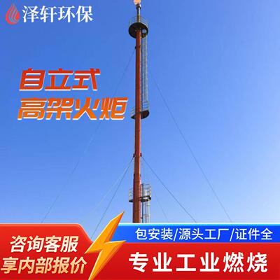 化工反应釜架火炬 反应尾气放空燃烧 化工装置应急火炬设备