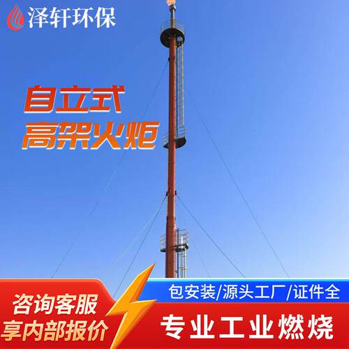 合成气架火炬 煤化工转化气燃烧 化工合成尾气放散火炬系统