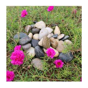 润然砾石 粉红杏黄圆混色 欧式 别天墅外墙专用STY20240水洗卵石