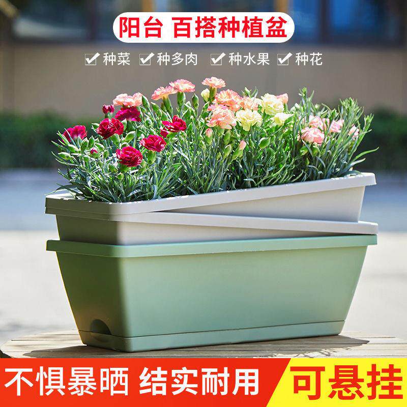 加厚种菜盆霍伦盆阳台百搭养花种植盆带托盘防摔塑料长条花盆