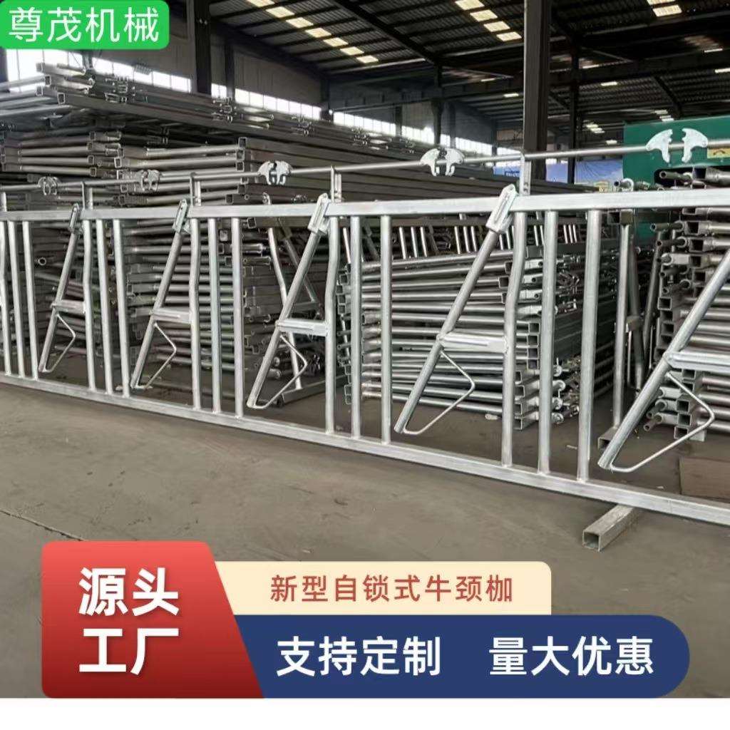 牛颈枷牛护栏厂家供应牛位栏设计合理牛栏位价格公道自锁式牛颈枷